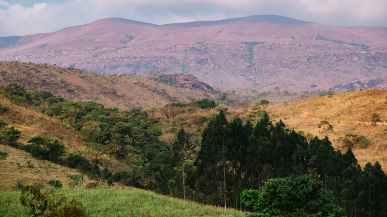 Qual é a culinária típica de Minas Gerais?