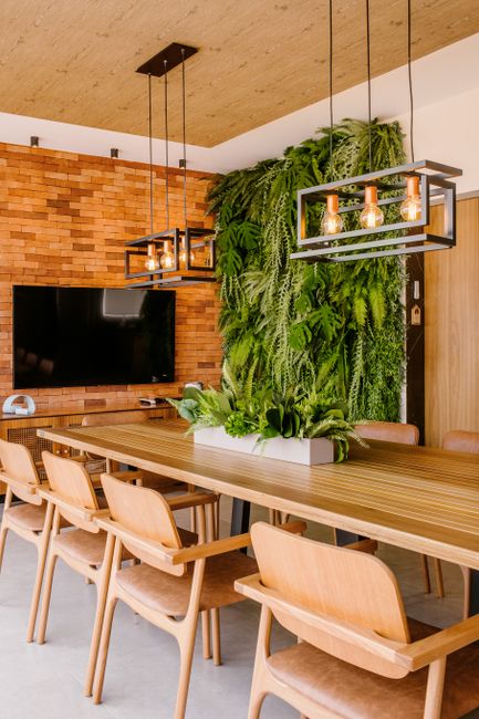 Como harmonizar plantas na sala? Como harmonizar plantas na sala?