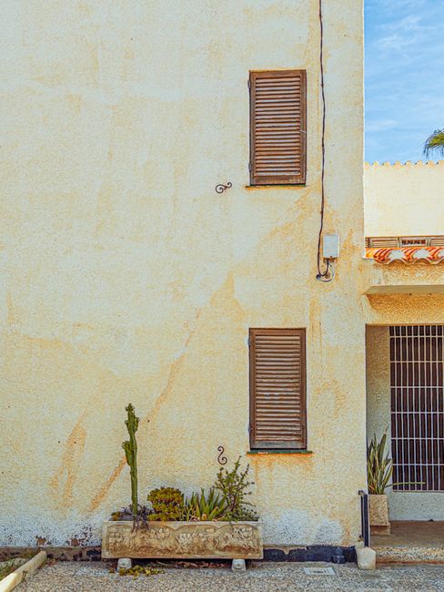 Qual é a planta que não se deve ter dentro de casa? Qual é a planta que não se deve ter dentro de casa?