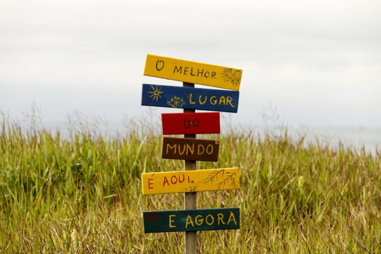 Qual a melhor área do marketing digital para iniciantes? Qual a melhor área do marketing digital para iniciantes?