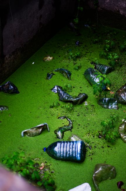 O que falar sobre o meio ambiente? O que falar sobre o meio ambiente?